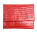 PETEK, , 261-041-10